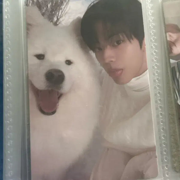 [BUNJANG] SEVENTEEN Dokyeom Last Scene Photocard / 도훈포카