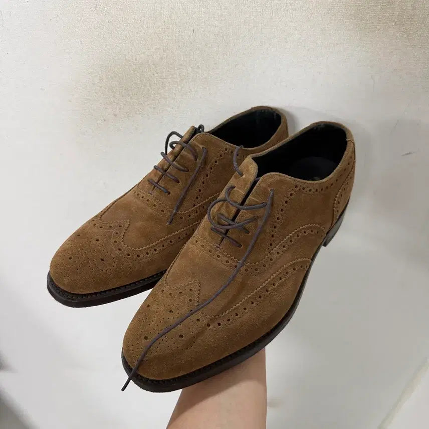 [BUNJANG] Herring Shoe Wingtip Shoes / 헤링슈 윙팁 슈즈