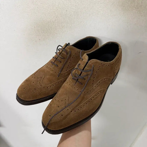 [BUNJANG] Herring Shoe Wingtip Shoes / 헤링슈 윙팁 슈즈