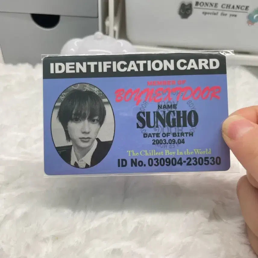 [BUNJANG] BounD Seungho Photocard / 보넷도 성호 포카 (처분)