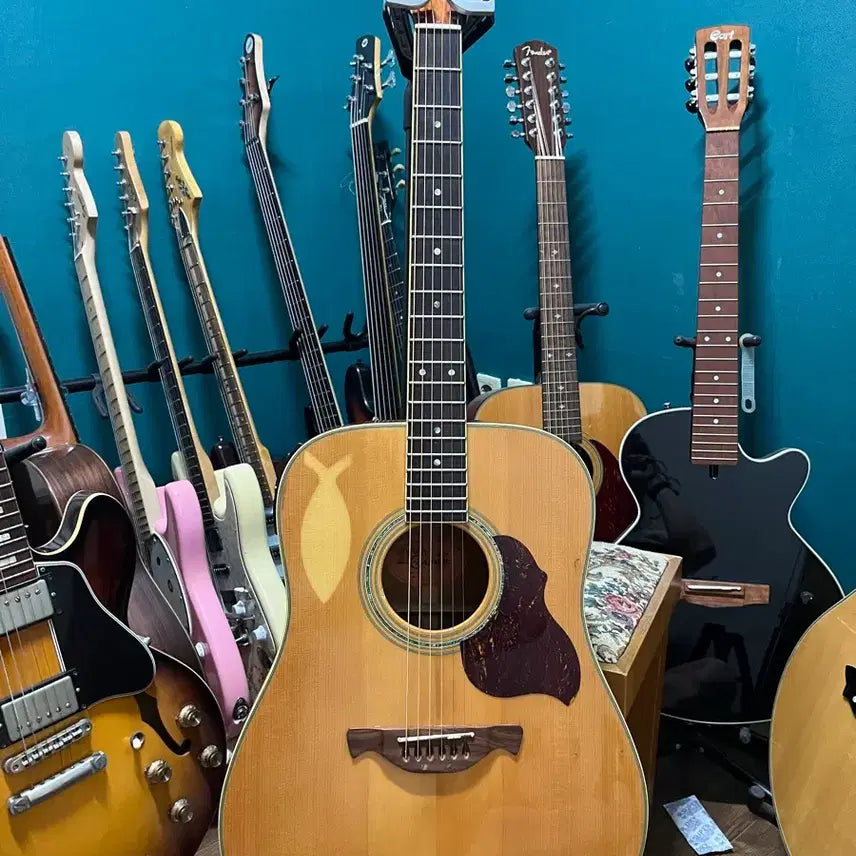 [BUNJANG] Crafter D8 Acoustic Guitar / 통기타 크래프터  d8