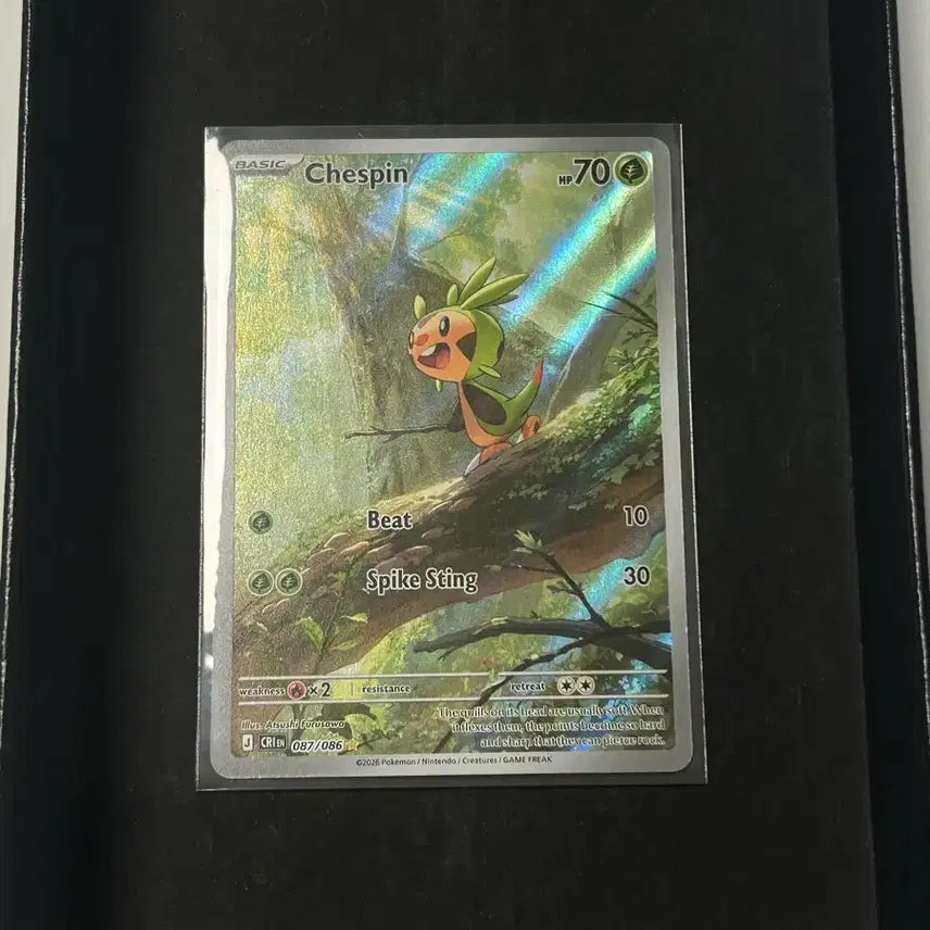 [BUNJANG] Arceus VSTAR Pokémon Card (North American Edition) / S급 등급용) 도치마론 ar 북미판