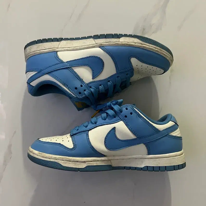 [BUNJANG] Nike Dunk Low Coast / 나이키 덩크 로우 코스트