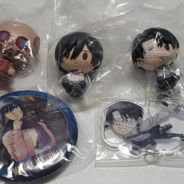 [BUNJANG] Attack on Titan Chocokko Kuji Hawi Sang / 진격거 초코노코 쿠지 하위상