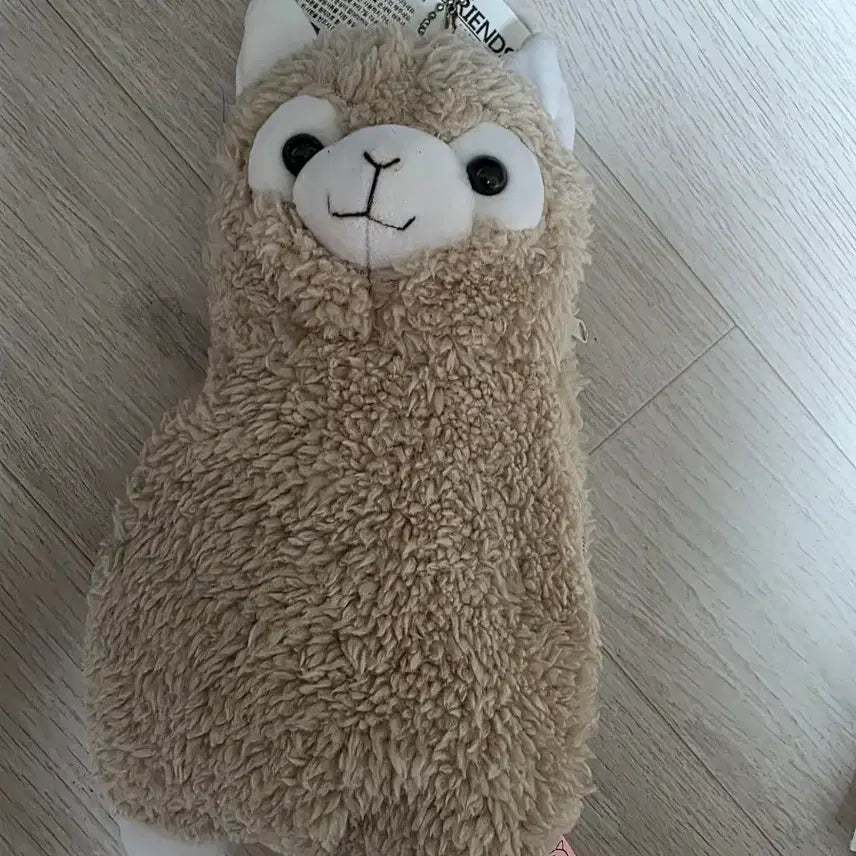 [BUNJANG] Alpaca Pencil Case / 알파카 필통