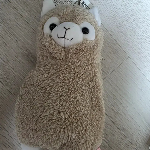 [BUNJANG] Alpaca Pencil Case / 알파카 필통
