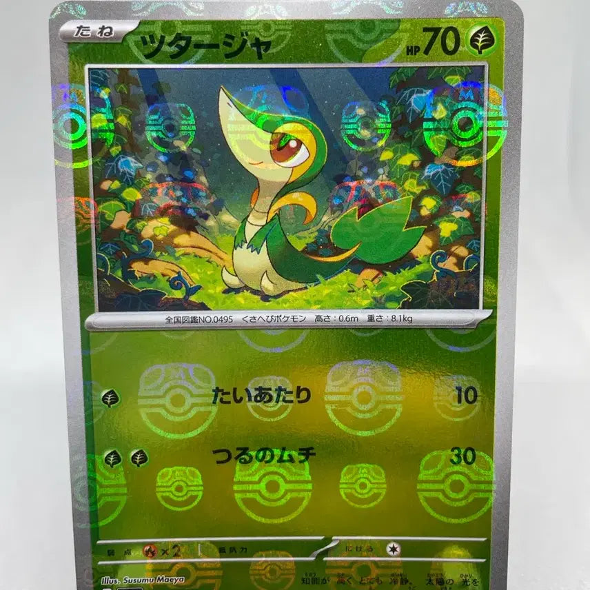 [BUNJANG] Pokemon Card Chirubi Japanese Master Ball Edition / 포켓몬카드 주리비얀 일판 마스터볼 마볼카드