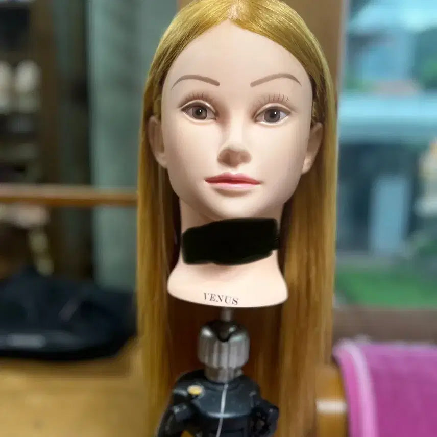 [BUNJANG] Venus 22-inch Blonde Updo Wig / 비너스 금발 22인치 업스타일 가발