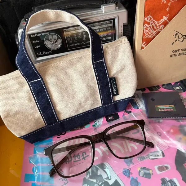 [BUNJANG] L.L.Bean Mini Tote Bag & Photochromic Eyewear Set / L.L.Bean 미니 토트백 & 아이웨어 (변색렌즈) 세트