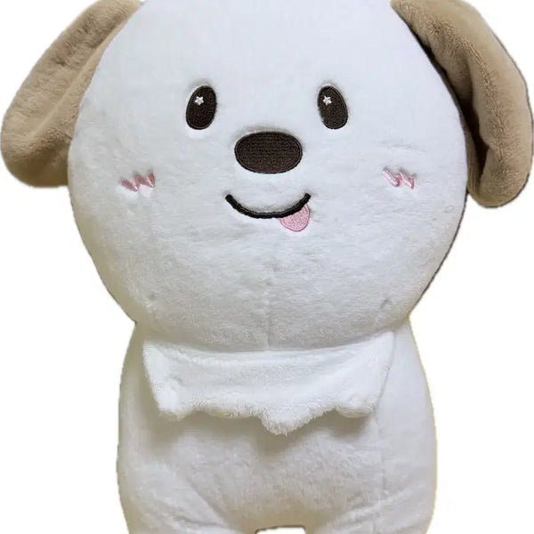 [BUNJANG] RIIZE Anton 40cm Giant Dragon Plush Doll / 라이즈 앤톤 40cm 대왕 멍룡이 뚱룡이 왕룡이 인형