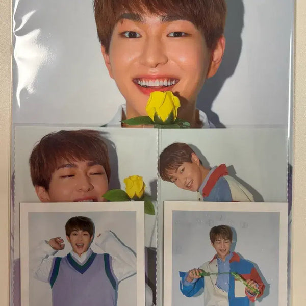 [BUNJANG] SHINee 2019 Season's Greetings Onew Split Set / 샤이니 2019 시그 분철 온유