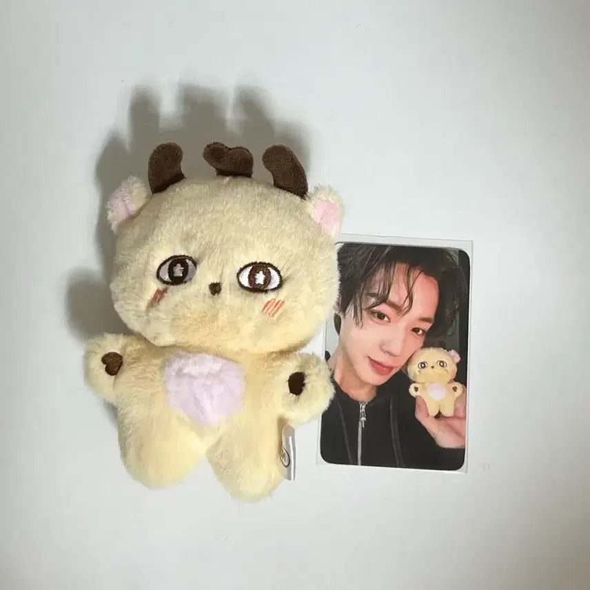 [BUNJANG] Park Jihoon Sosimii Doll / 박지훈 소심이 인형 급처로 팔아요!!