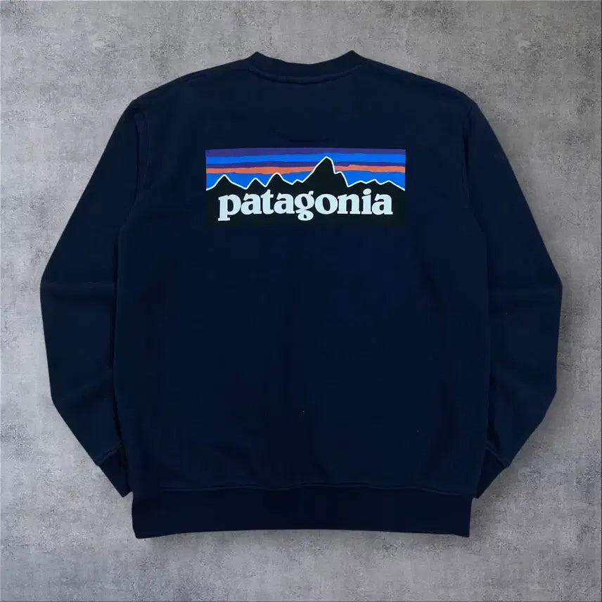 [BUNJANG] Patagonia Spell Out Logo Navy Sweatshirt Size S / 파타고니아 스펠아웃 로고 네이비 맨투맨