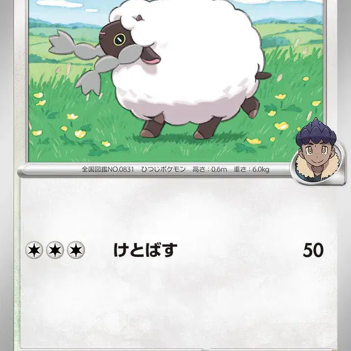 [BUNJANG] Hob's Ur SV9 085/100 C / 일판 호브의 우르 sv9 085/100 C (300원)