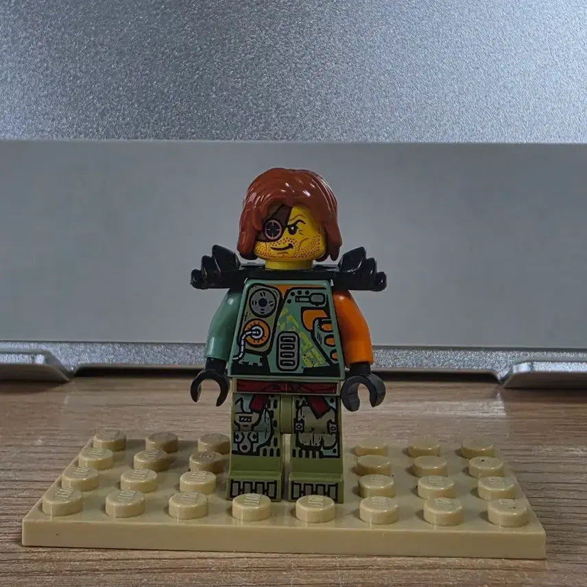 [BUNJANG] Lego Ninjago Ronin / 레고 닌자고 로닌