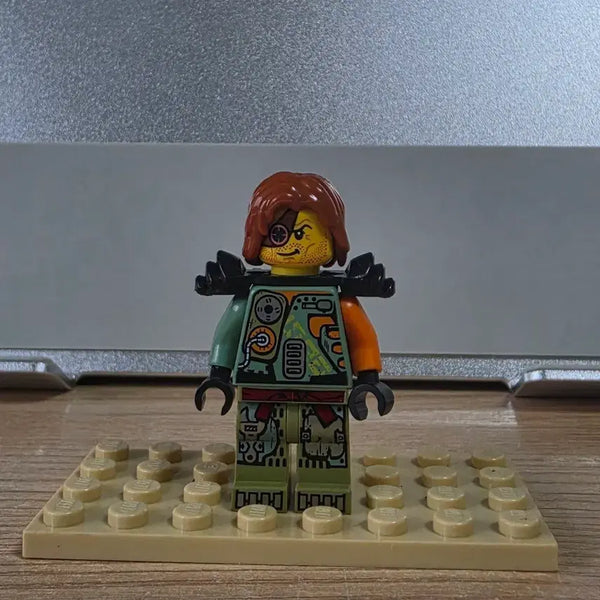 [BUNJANG] Lego Ninjago Ronin / 레고 닌자고 로닌