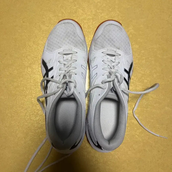 [BUNJANG] ASICS Gel-Rocket 11 Volleyball Shoes / 아식스 배구화 젤 로켓 11
