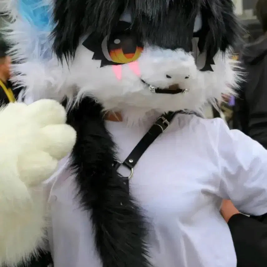 [BUNJANG] Dragon Fursuit Head and Hands / 용 퍼슈트