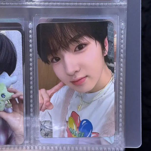 [BUNJANG] NCT WISH Steady Pop-up Sakuya Photocard / 엔시티위시 스테디 팝업 5만원 사쿠야 포카 트레카