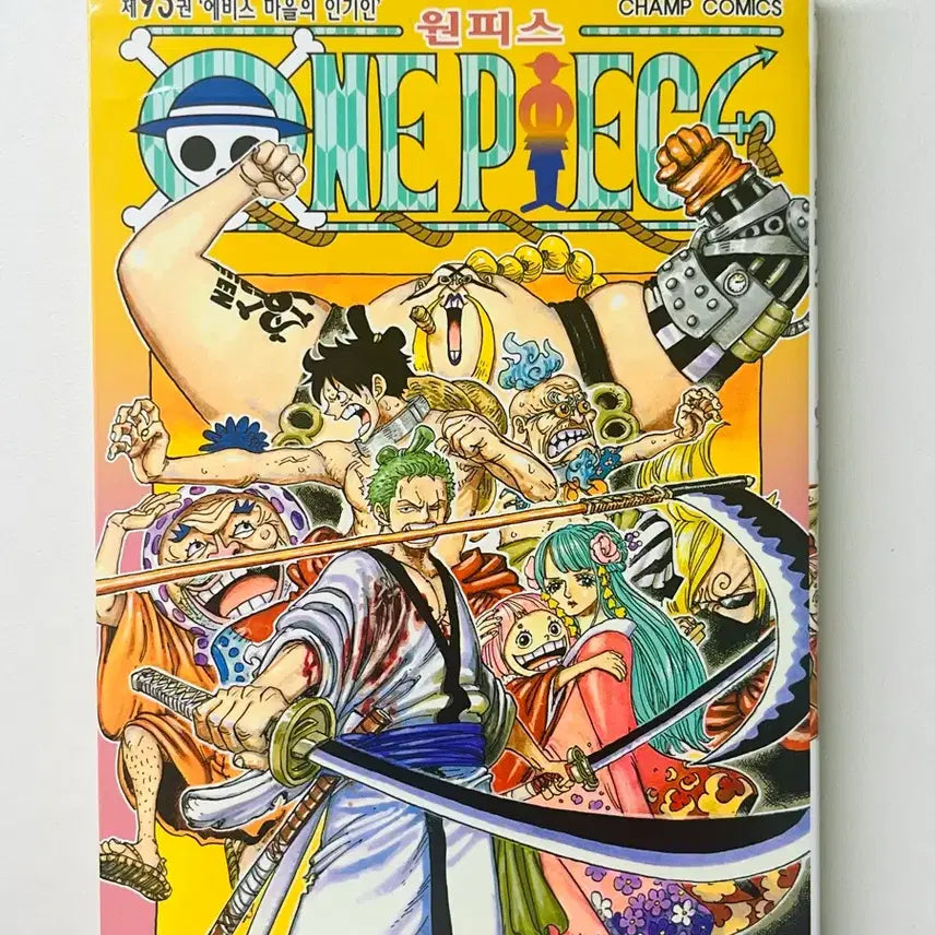 [BUNJANG] One Piece Volume 93 / 원피스 93권