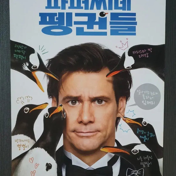 [BUNJANG] Mr. Popper's Penguins Movie Flyer A4 Jim Carrey / 파퍼씨네 펭귄들 영화 전단지 팜플렛 A4 짐캐리