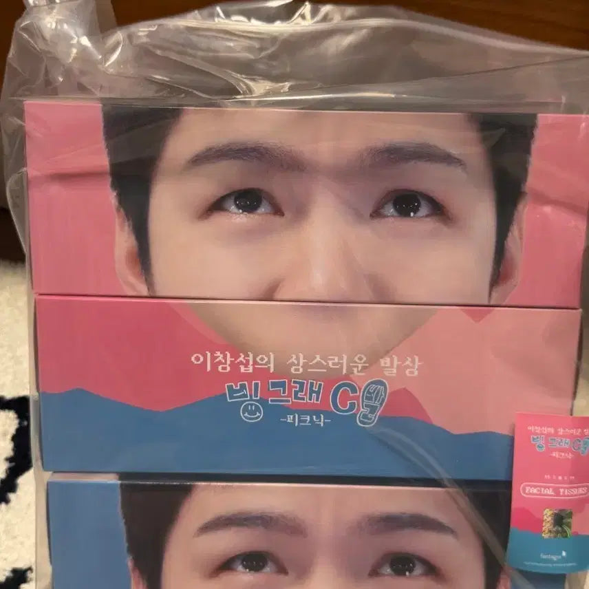 [BUNJANG] Lee Changsub Binggrae C Picnic Collaboration Facial Tissue / 이창섭 빙그래 C 피크닉 콜라보 페이셜 티슈