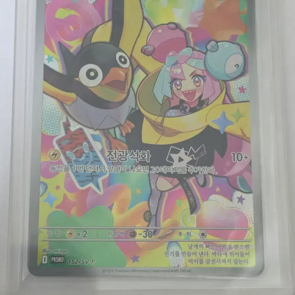 [BUNJANG] Pokemon Card - Moyama's Chiribori Promo / 포켓몬카드 모야모의 찌리비 프로모