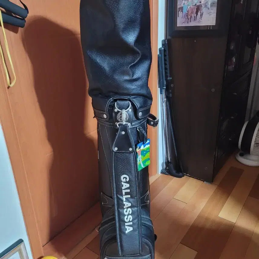 [BUNJANG] GALLASSIA Golf Caddy Bag / 갈라시아[GALLASSIA] 골프 캐디백