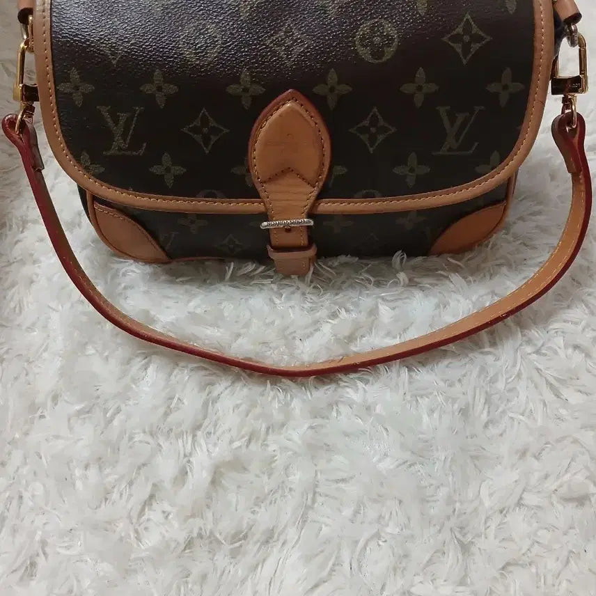 [BUNJANG] Louis Vuitton Monogram Shoulder Bag SP2022 / 루이비통 모노그램 숄더백 SP2022