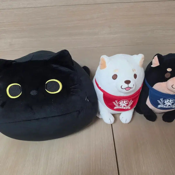 [BUNJANG] Black Cat Shiba Inu Medium Plush Toy / 검은 고양이 시바견 중형 인형