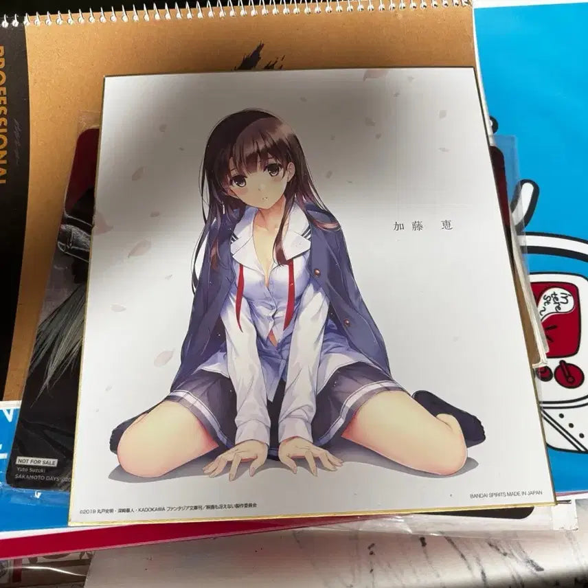 [BUNJANG] Saekano Large Shikishi Board Featuring Megumi Kato / 시원치않은 그녀를 위한 육성방법(사이카노) 대형 색지