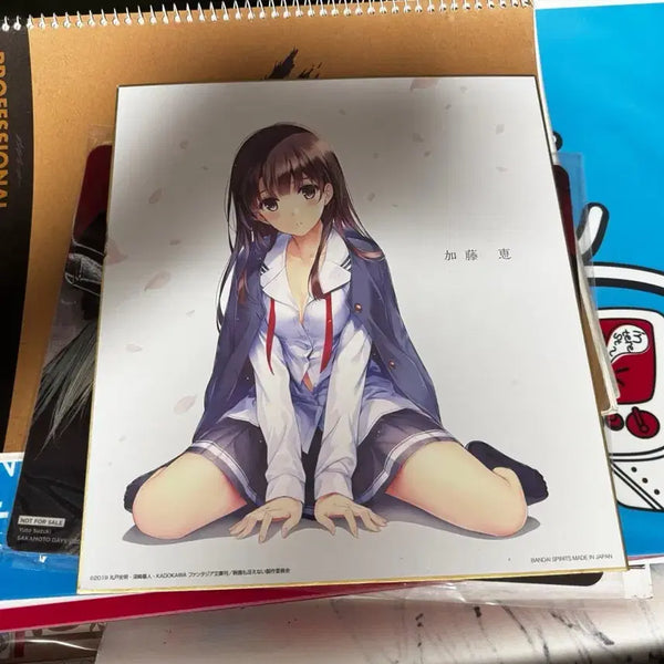 [BUNJANG] Saekano Large Shikishi Board Featuring Megumi Kato / 시원치않은 그녀를 위한 육성방법(사이카노) 대형 색지