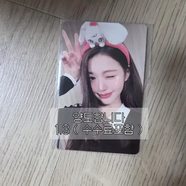 [BUNJANG] IVE Jang Wonyoung Everland Mini Brochure Photocard / IVE 아이브 장원영 원영 에버랜드 미니브 7만원 랜덤포카 포토카드