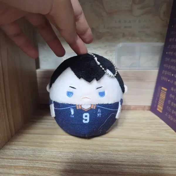[BUNJANG] Haikyuu!! Kageyama Tobio Plush Doll / 하이큐 카게야마 인형