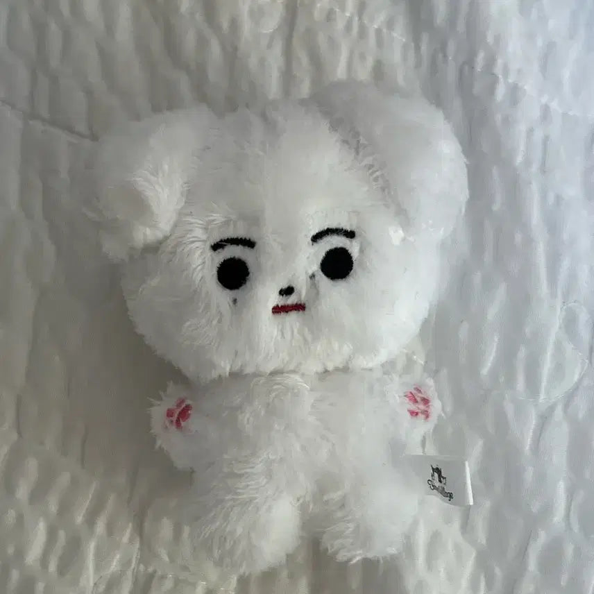 [BUNJANG] Enhypen Sunghoon 10cm Doll Korean Ver. / 엔하이픈 성훈 인형 한국개 10cm