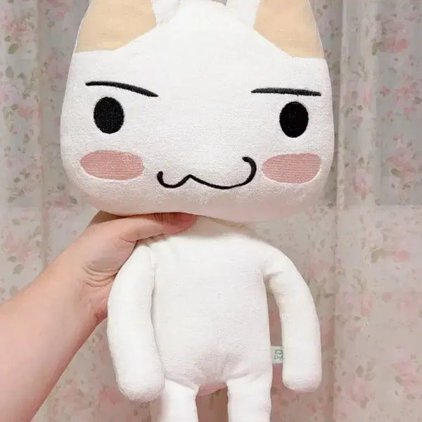 [BUNJANG] Torotaro Medium Plush Doll / 도코데모잇쇼 토로 중형 기본 인형