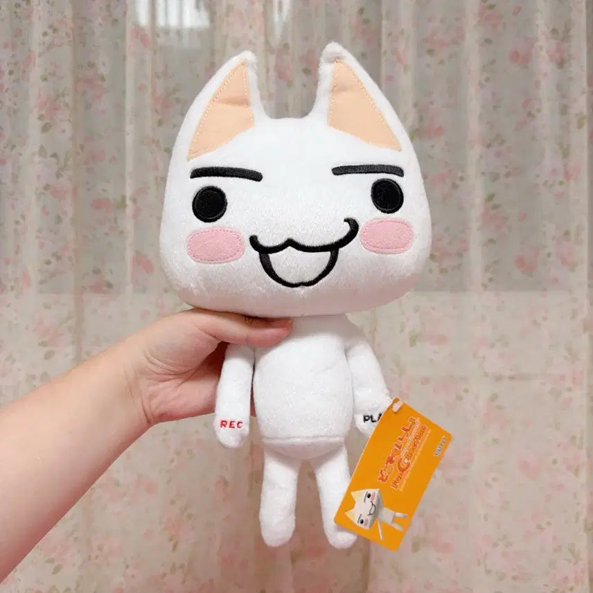 [BUNJANG] Dokodemo Issho Toro Recording Plush / 도코데모잇쇼 토로 녹음이 되는 인형