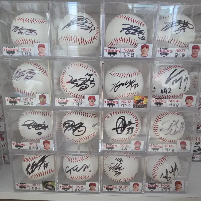 [BUNJANG] Kia Tigers Autographed Baseball Bundle (17 pcs) / 기아타이거즈 싸인볼 17개 일괄