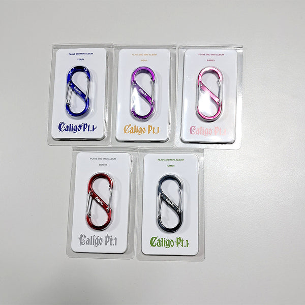 [BUNJANG] PLAVE Dash Positive Carabiner Set (All Members) / 플레이브 대쉬 푸지티브 카라비너 5종 (드볼)