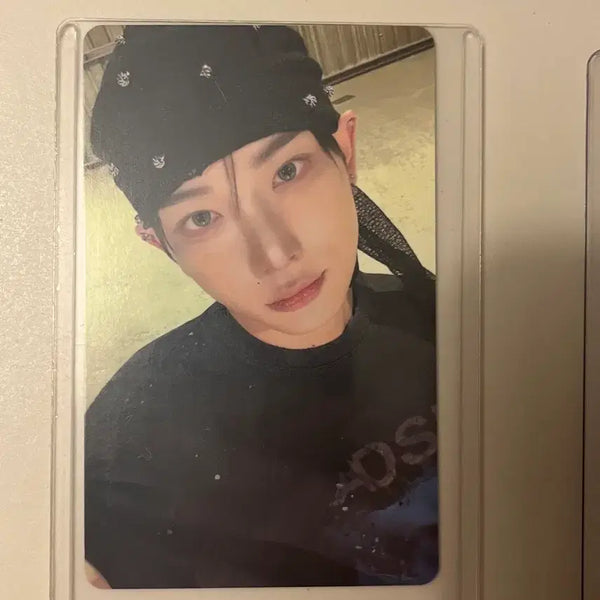 [BUNJANG] Harua Concert Photocard Album POB / 하루아 콘서트 포카 앨범 구매 특전