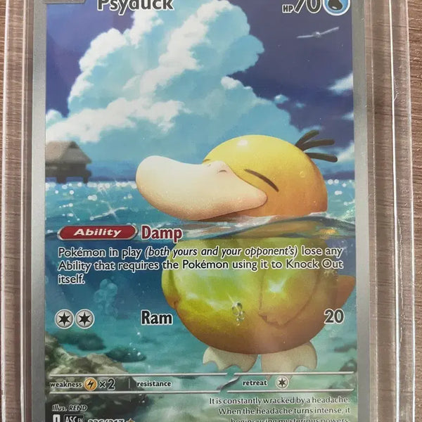 [BUNJANG] Pokemon TCG Golden Raichu AR North America Edition / 포켓몬카드 고라파덕 ar 북미판