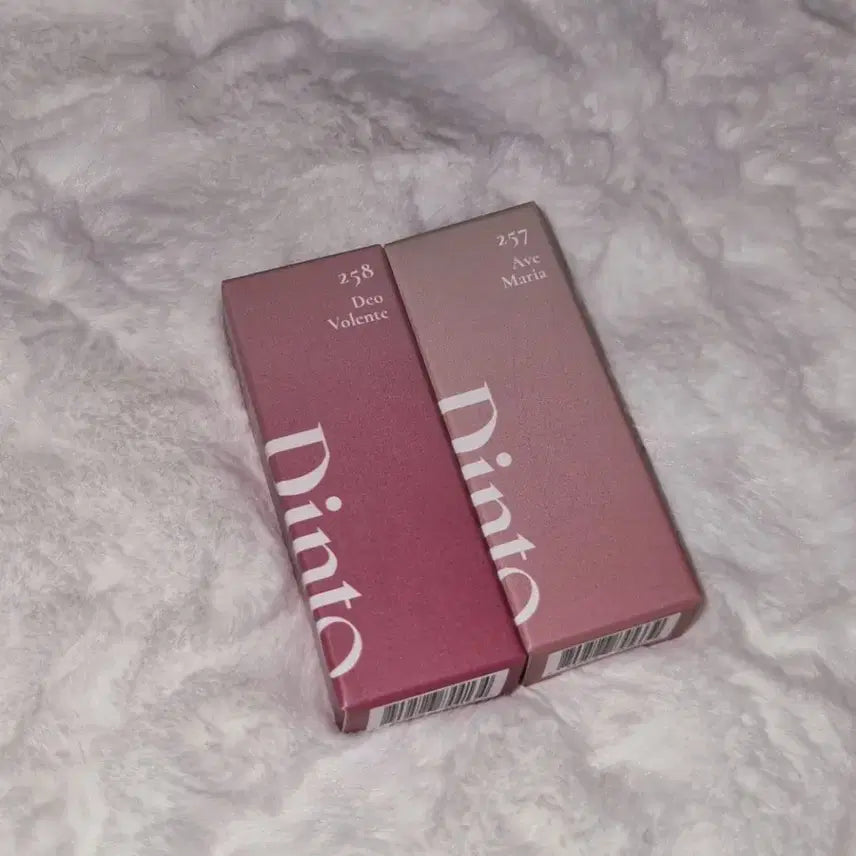 [BUNJANG] Dinto Mini Tint Set / 새상품 딘토 미니 틴트 일괄 258, 257