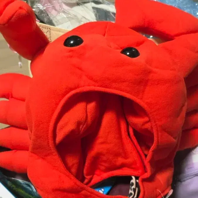 [BUNJANG] Crab Hat / 게 모양 모자