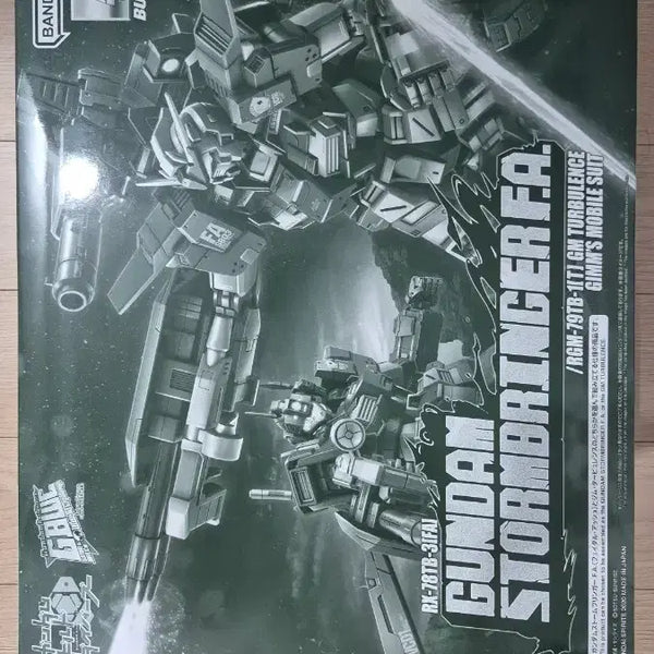 [BUNJANG] Bandai MG Stormbringer F.A. Gunpla Model Kit / mg 스톰브링거 f.a