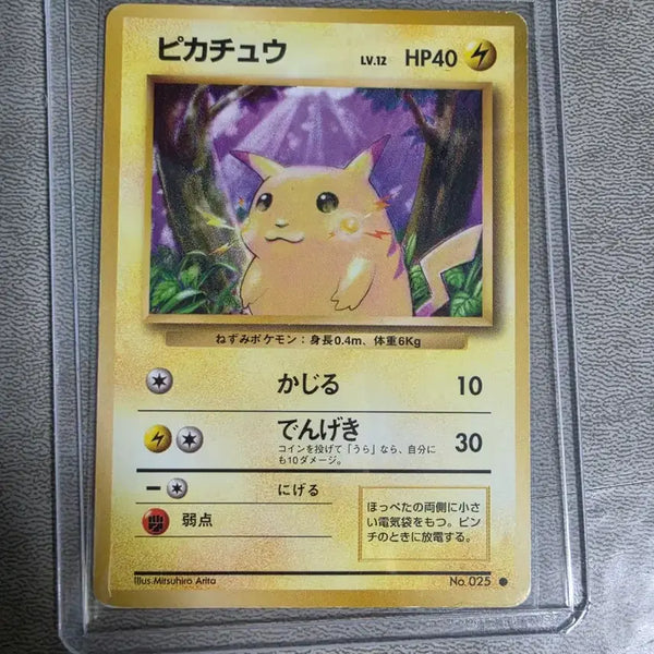 [BUNJANG] Pokemon Card 1998 "Fat Pikachu" / 포켓몬카드 1998년 뚱카츄