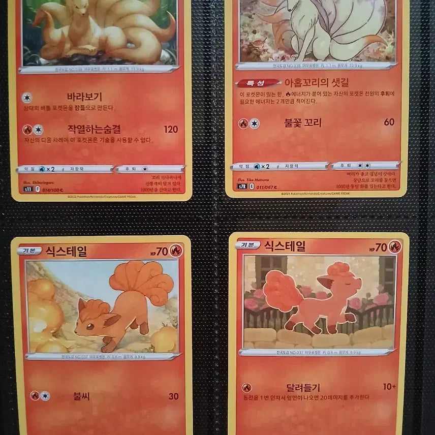 [BUNJANG] Pokemon Cards Vulpix & Ninetales 8-Piece Bundle Set / 포켓몬 카드 나인테일 식스테일 8종 일괄