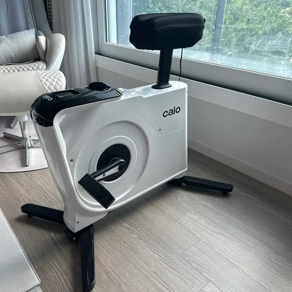 [BUNJANG] Kalo Rebike Indoor Exercise Bike - White / 칼로 자전거