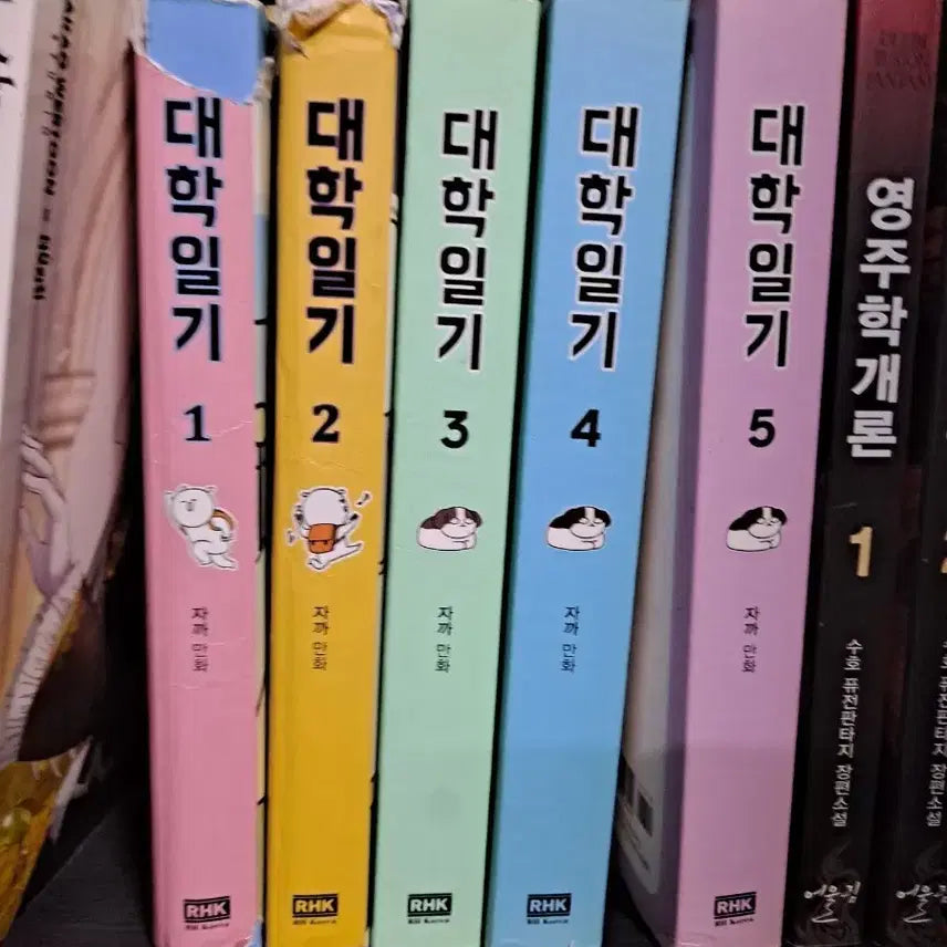 [BUNJANG] University Days Complete Set Volumes 1-5 Used Manga / 대학일기 1-5 전권 세트 중고만화책 안전프로상점