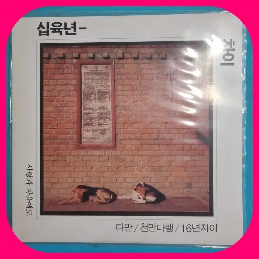 [BUNJANG] 16-Year Difference LP NM/NM / 16년차이 LP NM/NM