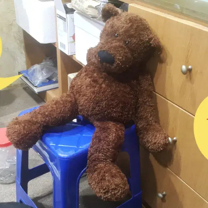 [BUNJANG] Gund Teddy Bear and Poodle Plush Set / 테디 베어와 푸들 인형